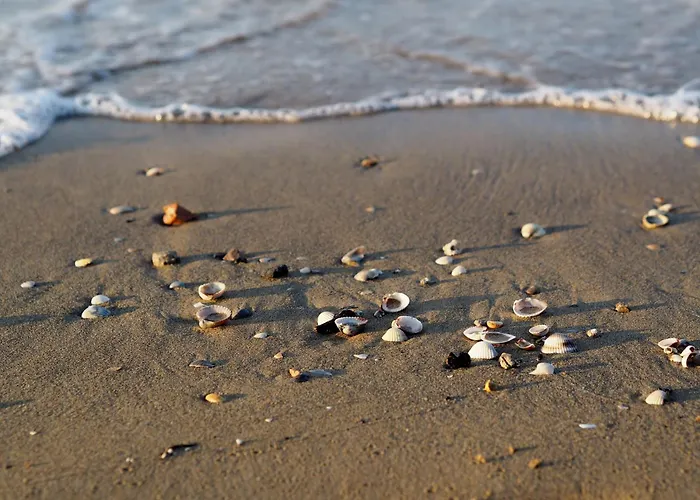 Appartamento Warm Near The - Beahost Bibione