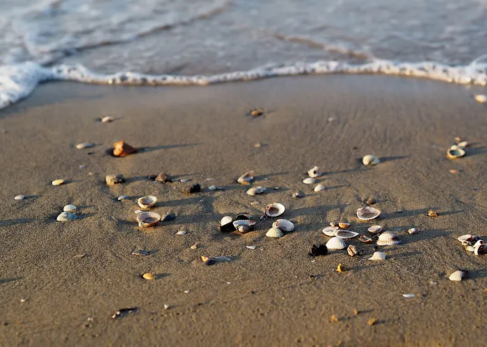 Warm Near The - Beahost