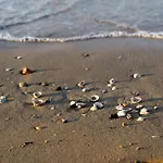 Apartment Warm Near The - Beahost Bibione